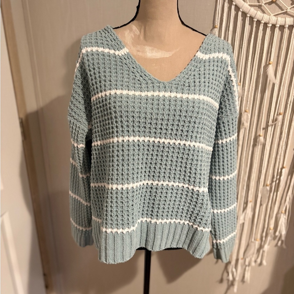 Moral Fiber Blue and White V-Neck Sweater